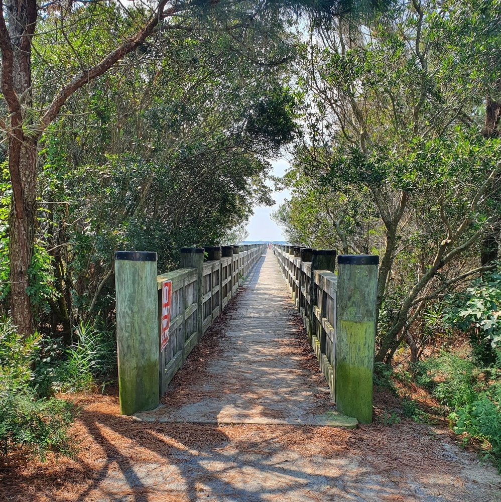 🌸 2 for $20 maternity